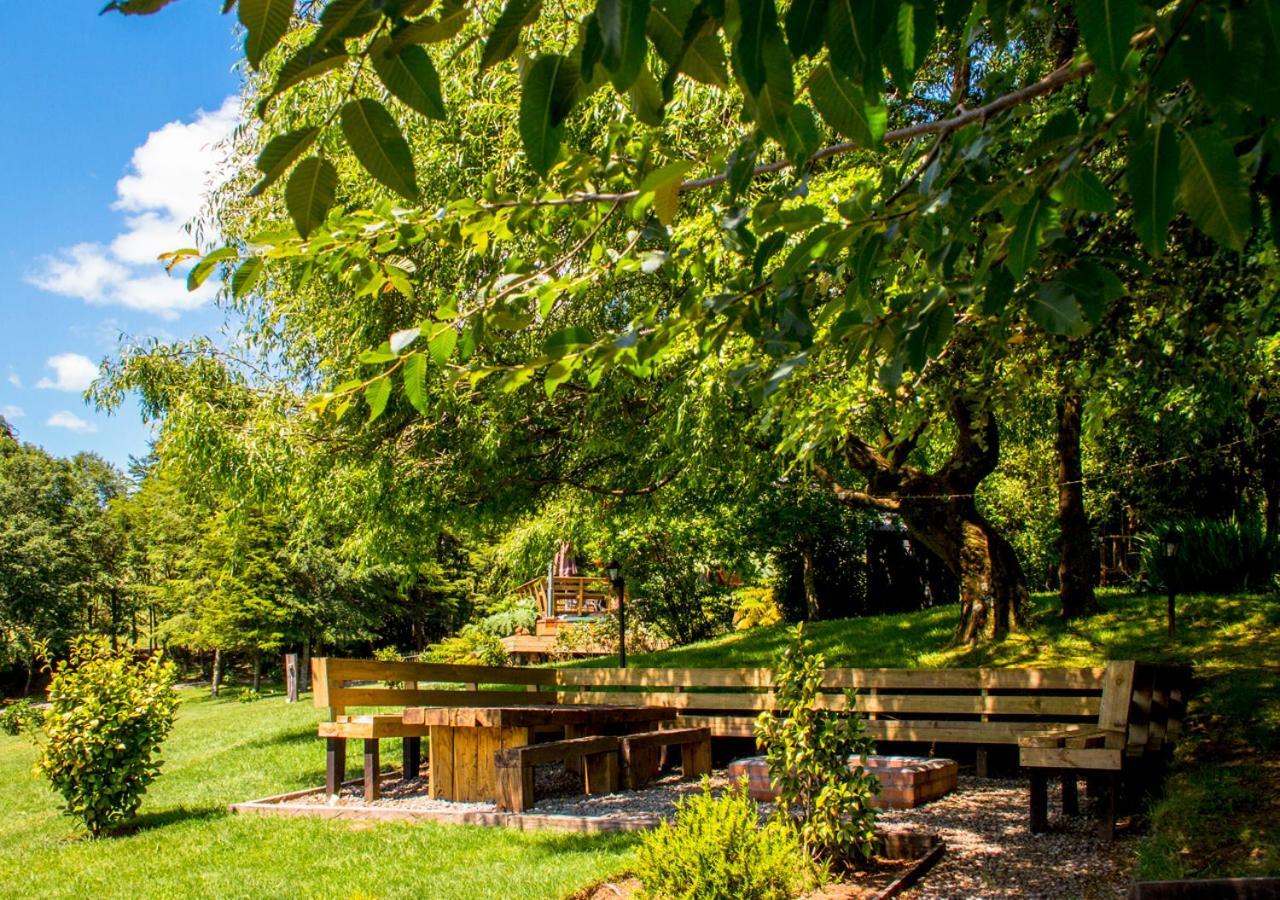 Willa Las Magnolias Lofts Puerto Varas Zewnętrze zdjęcie